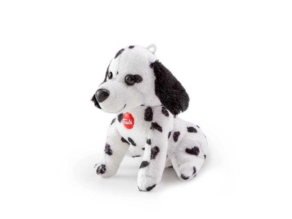 Sweet Dalmatian Dog Trudi