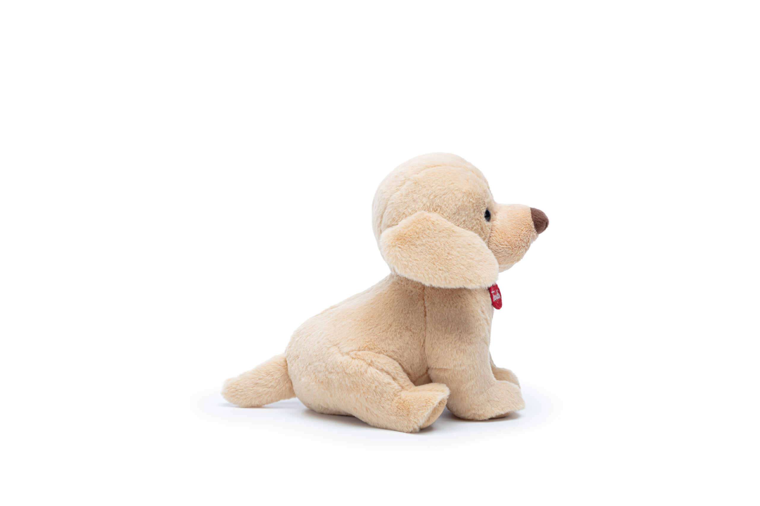 Cani trudi new arrivals