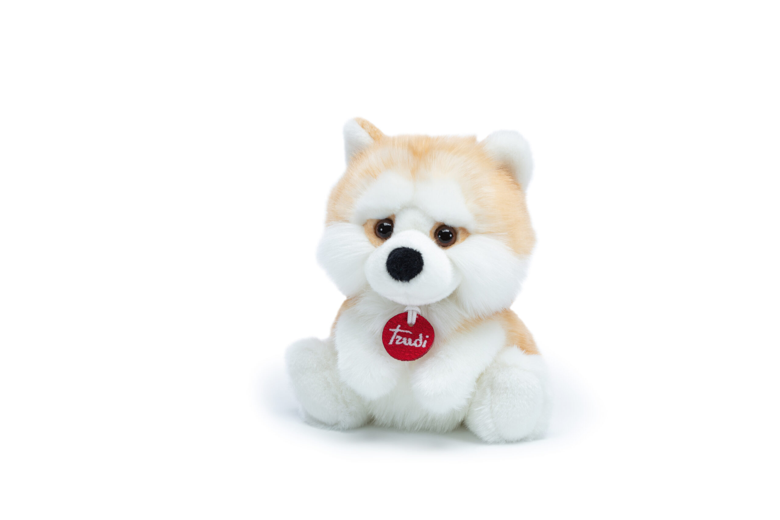 Akita trudi 2025