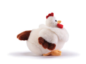 Hen Daisy