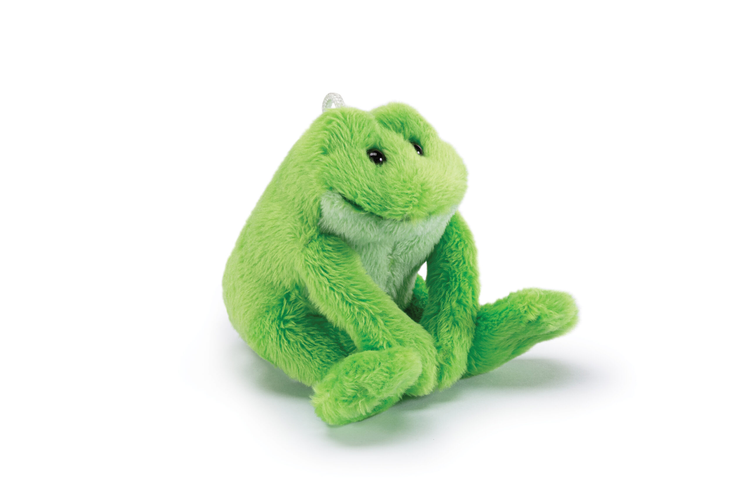 Sw Col Frog