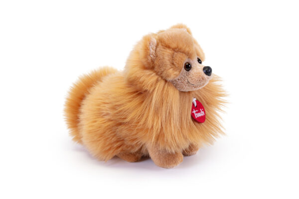 pomerania biscuit s trudi