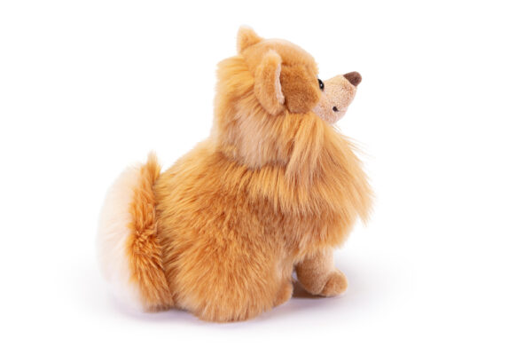 pomerania grande marrone peluche