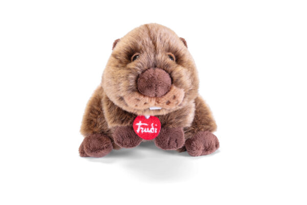 peluche castoro xs