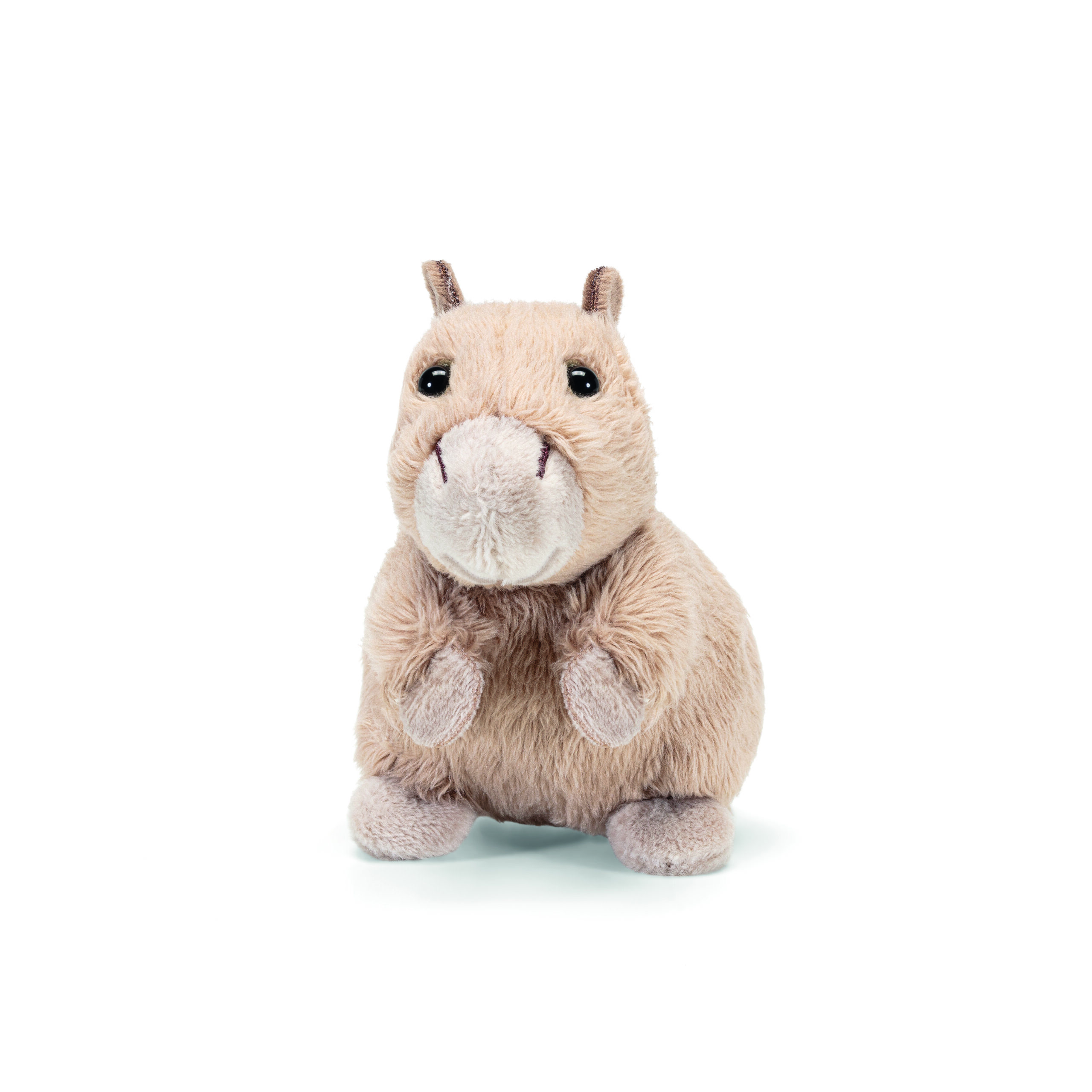 51408-A Sweet Capibara Trudi